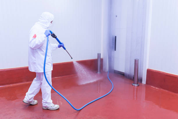 Best Patio and Deck Pressure Washing  in Freeport, IL